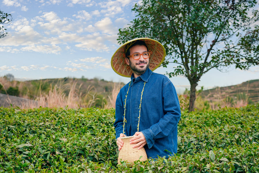 走进武夷生态茶园，探寻茶叶生长特性。