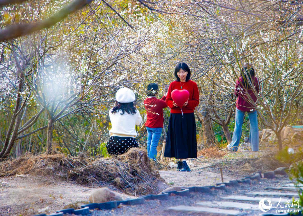 游客在“花海”中“打卡”。人民網 林銘賢攝