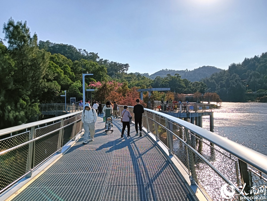 市民游客徜徉在廈門山海健康步道東山環廊美景中。人民網記者 陳博攝