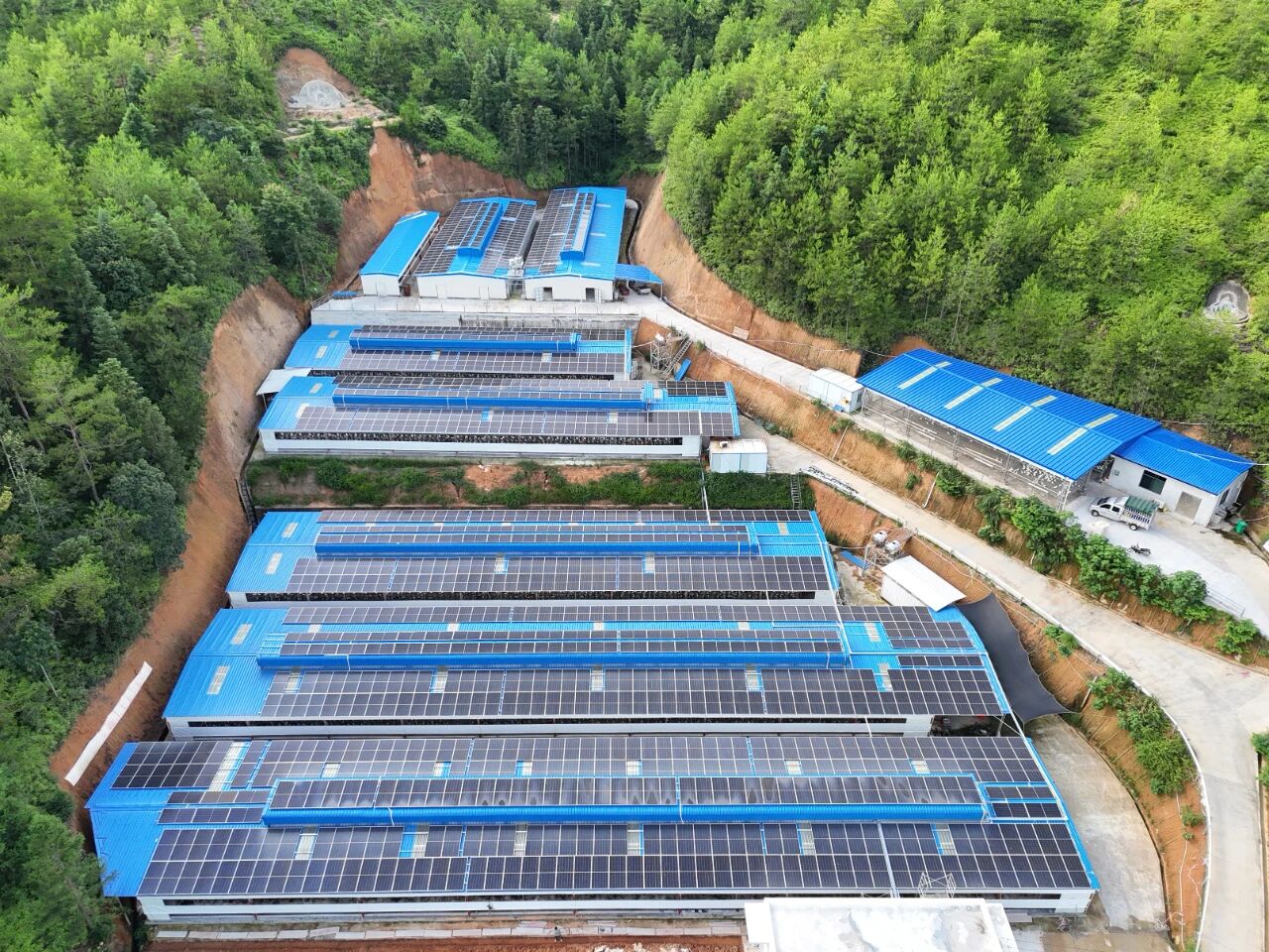 崭新的鸽舍。上杭县融媒体中心供图