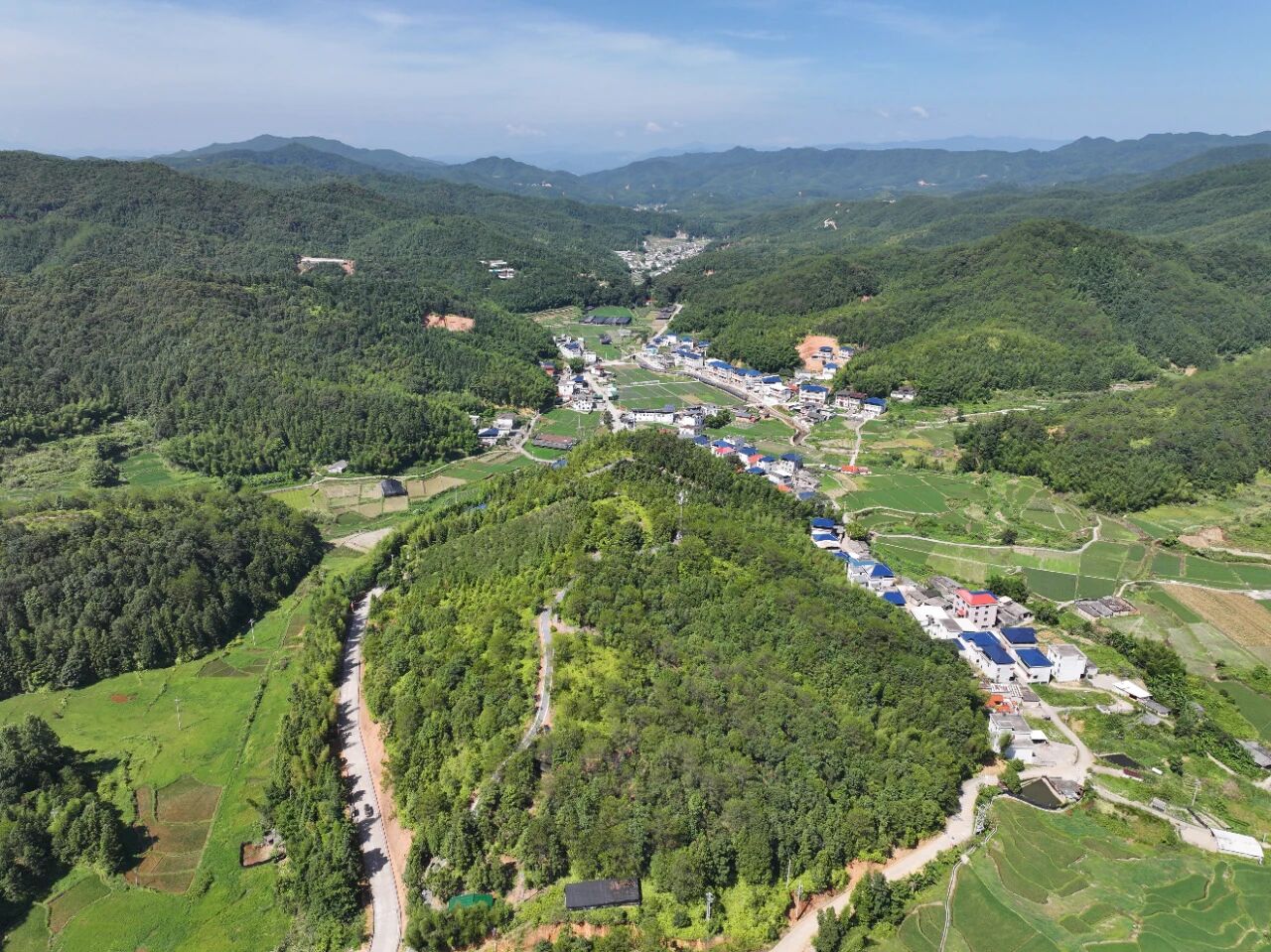 白砂镇林下中药材经营面积约1万亩。上杭县融媒体中心供图