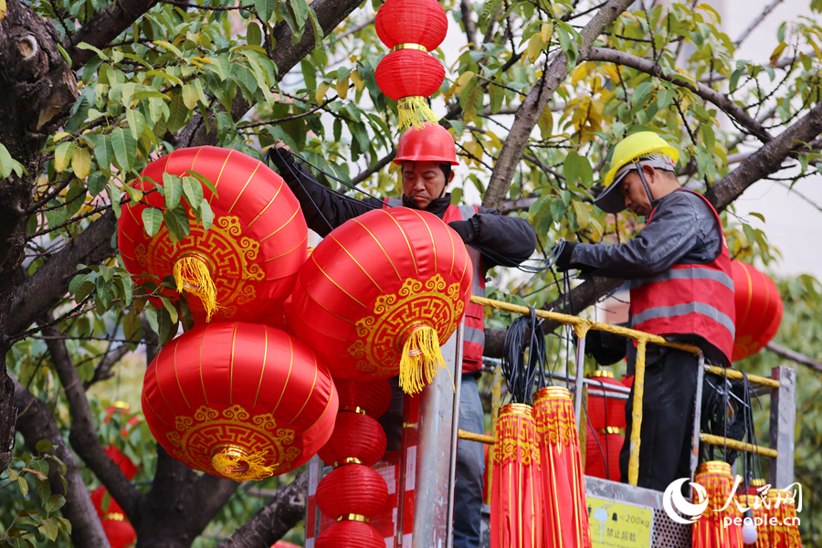 工人將大紅燈籠挂上行道樹枝頭。人民網記者 陳博攝