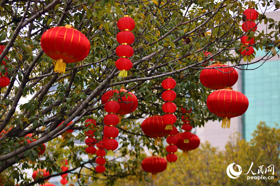 一串串燈籠隨風搖曳，年味十足。人民網記者 陳博攝