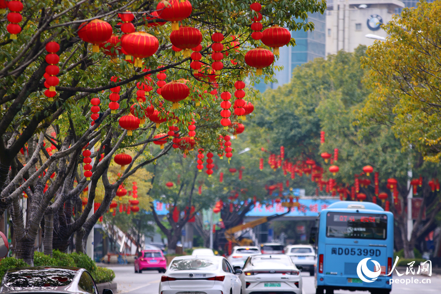 紅紅火火的燈籠挂滿枝頭。人民網記者 陳博攝