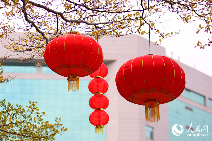 大紅燈籠高高挂。人民網記者 陳博攝