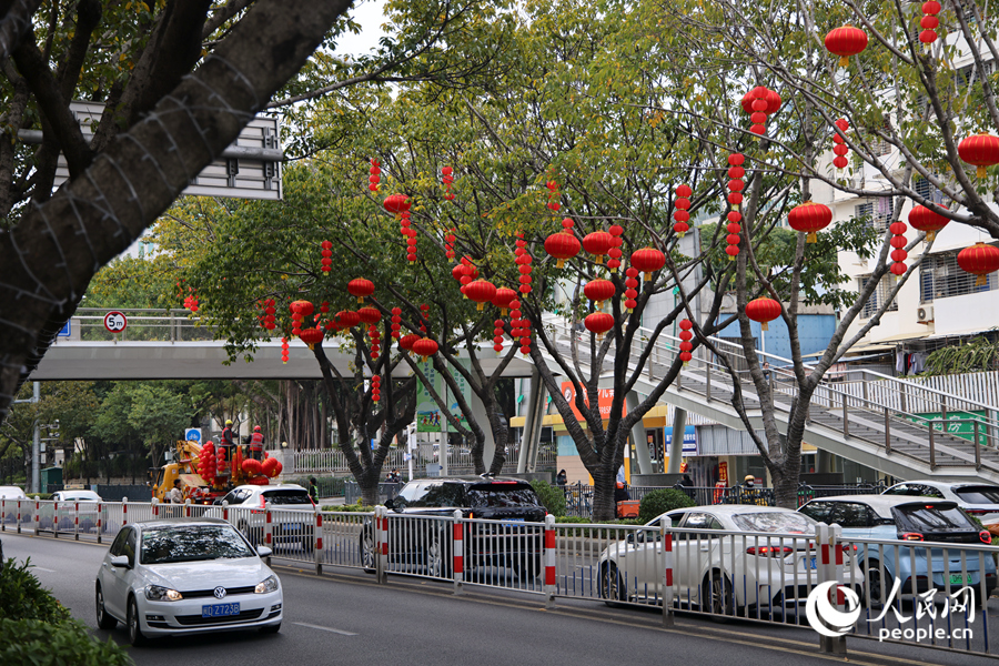紅燈籠與綠植相映成趣。人民網記者 陳博攝