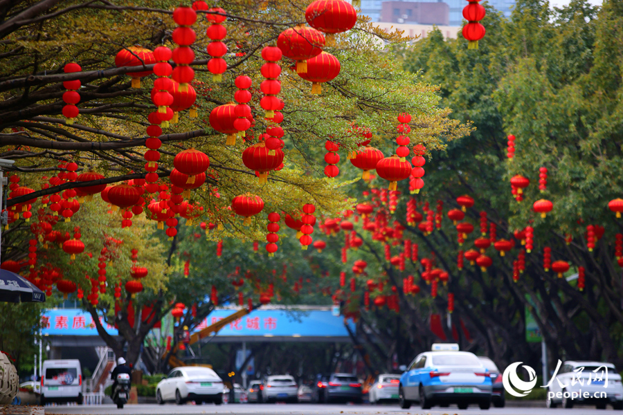 紅燈映鷺島，福運滿街巷。人民網記者 陳博攝