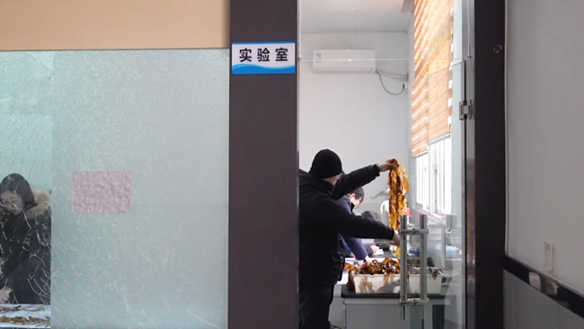 對裙帶菜品質進行檢驗