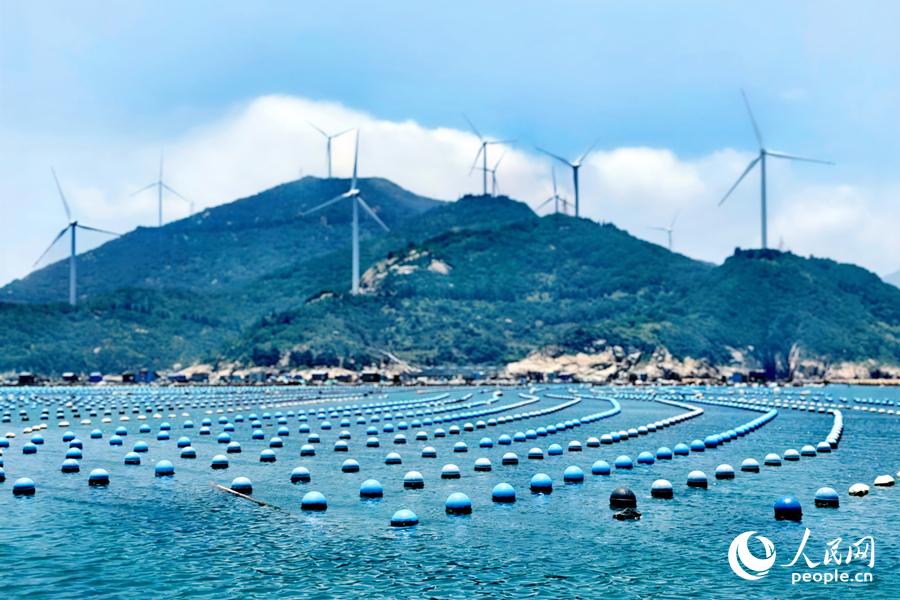 彩色的塑胶浮球整齐排列在海面上。人民网 叶青卿摄