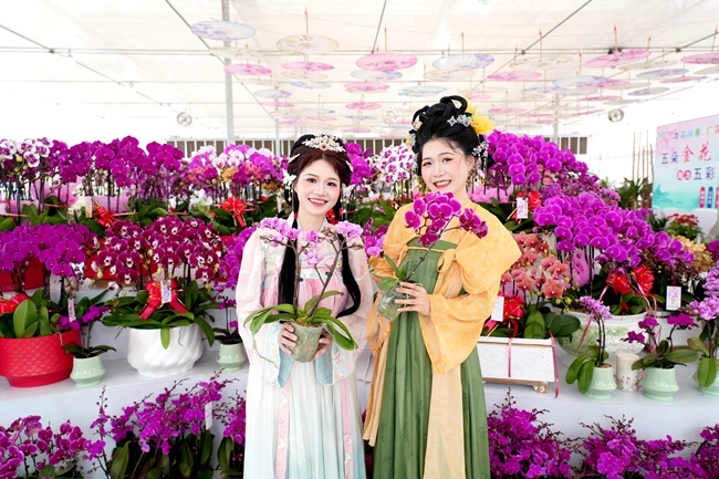 游客挑选到心仪的蝴蝶兰笑开颜