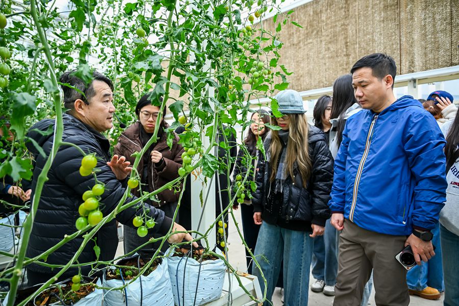 參訪同安台灣農民創業園。夏海濱攝