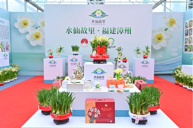 活动现场。主办方供图