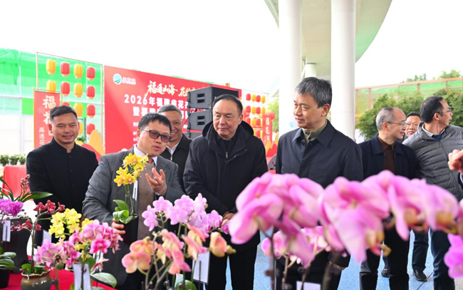 活动现场。主办方供图