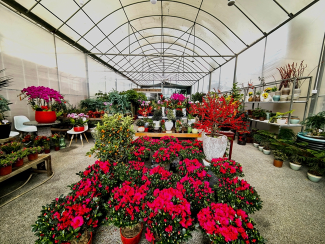 活动现场。主办方供图