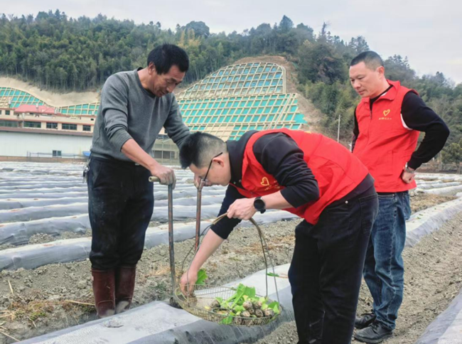技术员在烟田现场向烟农传授烟叶种植技术。黄志琦摄