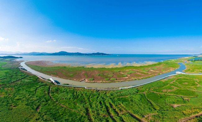 閩江河口濕地風景秀美。林雙偉攝