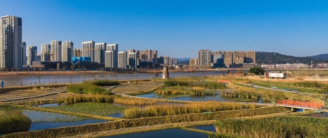 濕地生態修復，吸引各色水鳥前來安家或覓食。圖片來源：福清市影像中心