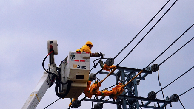 国网邵武市供电公司工作人员在10千伏沙塘I线路上开展带电检修