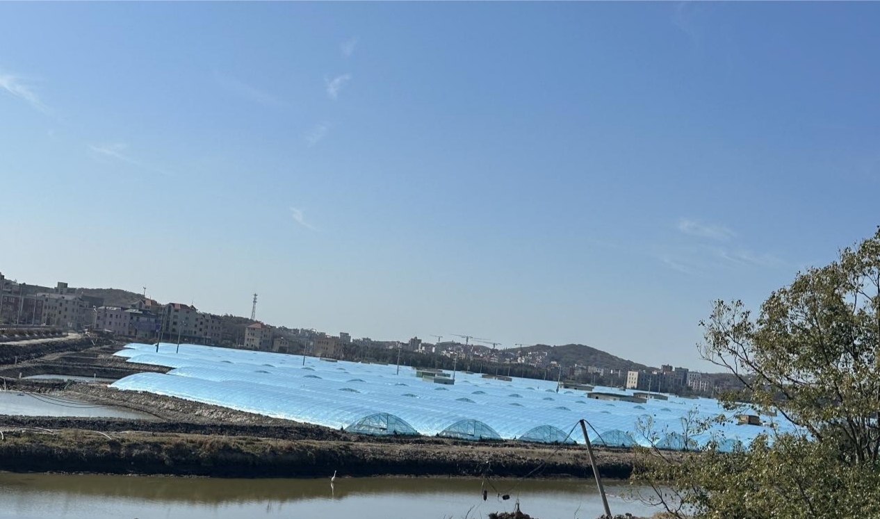 佳樂村養殖設施改造升級