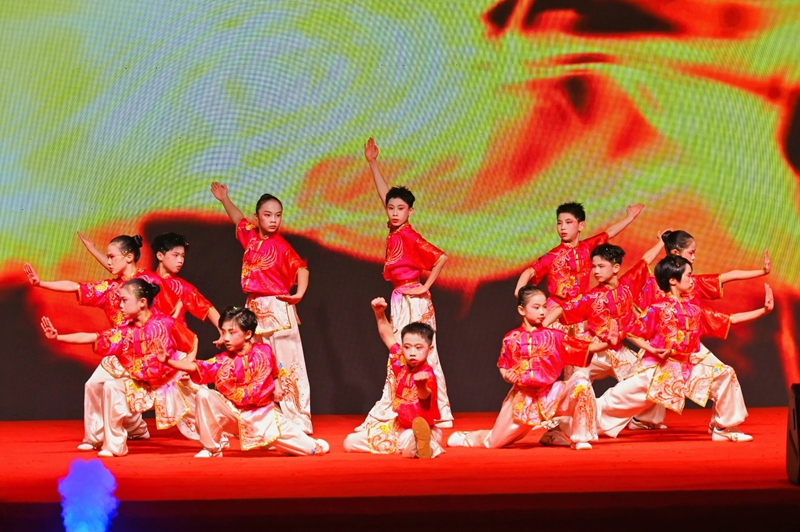 武术表演《骏风武魂》