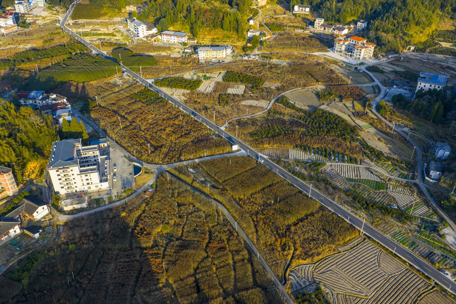 暖陽之下，官路村的山鄉脈絡清晰顯現