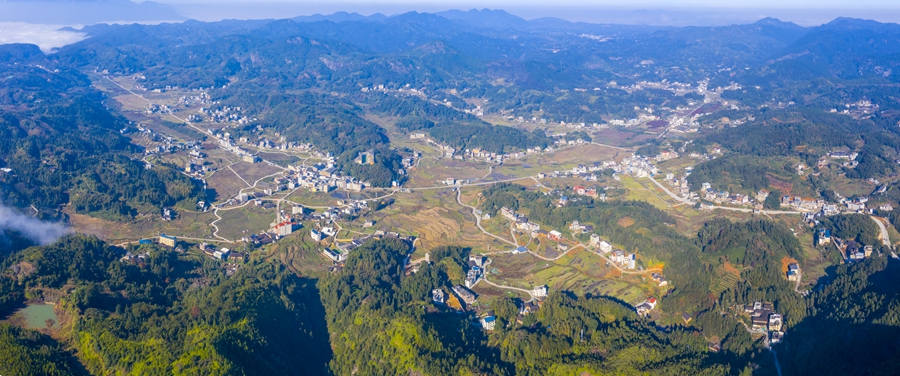 航拍三洋，如葉脈一般的村道