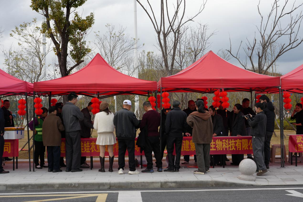 群众驻足排队等待领取春联。谢思棋摄