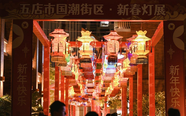 新春燈展。晉江市融媒體中心供圖