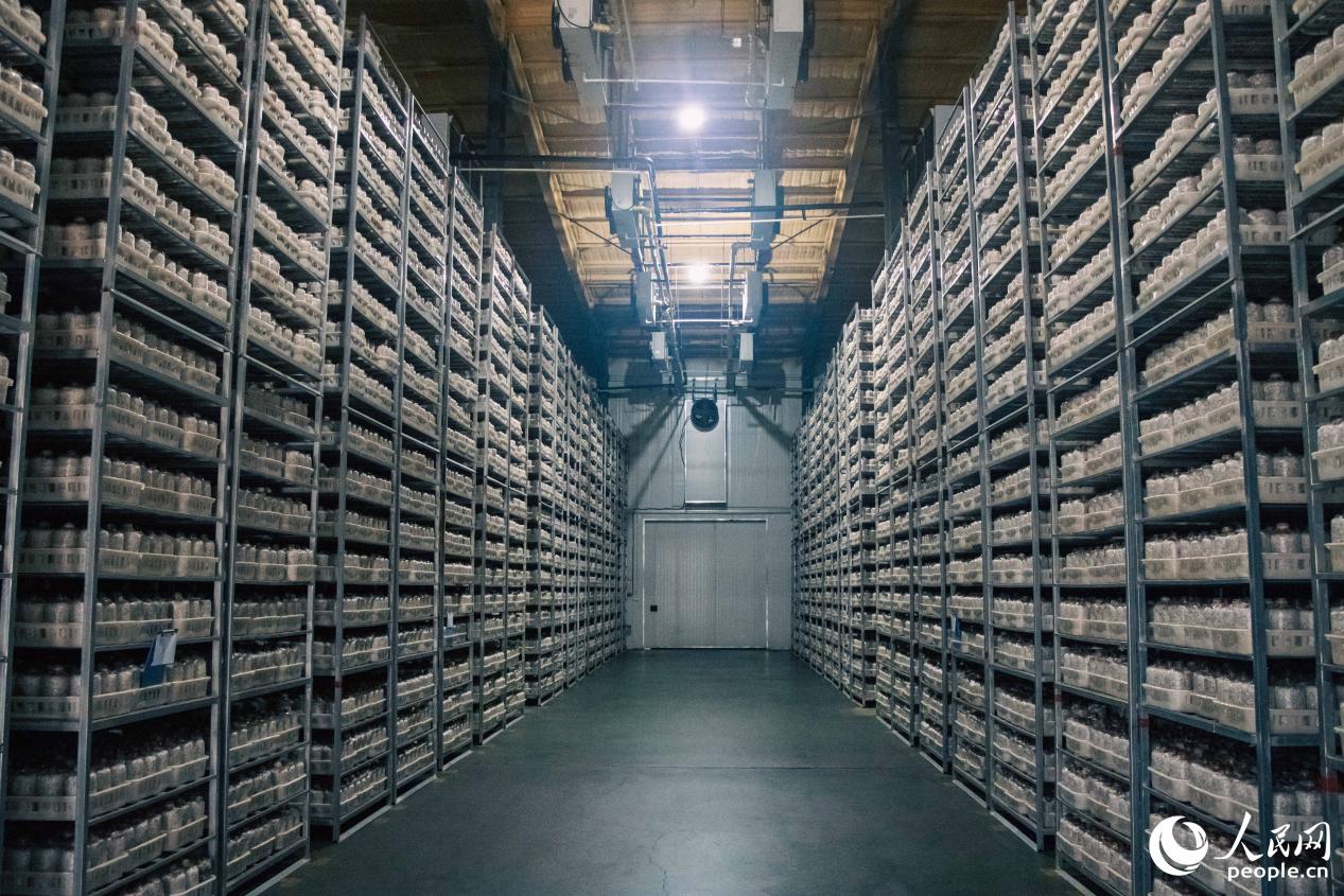 现代化的菌包培育房。人民网 林铭贤摄