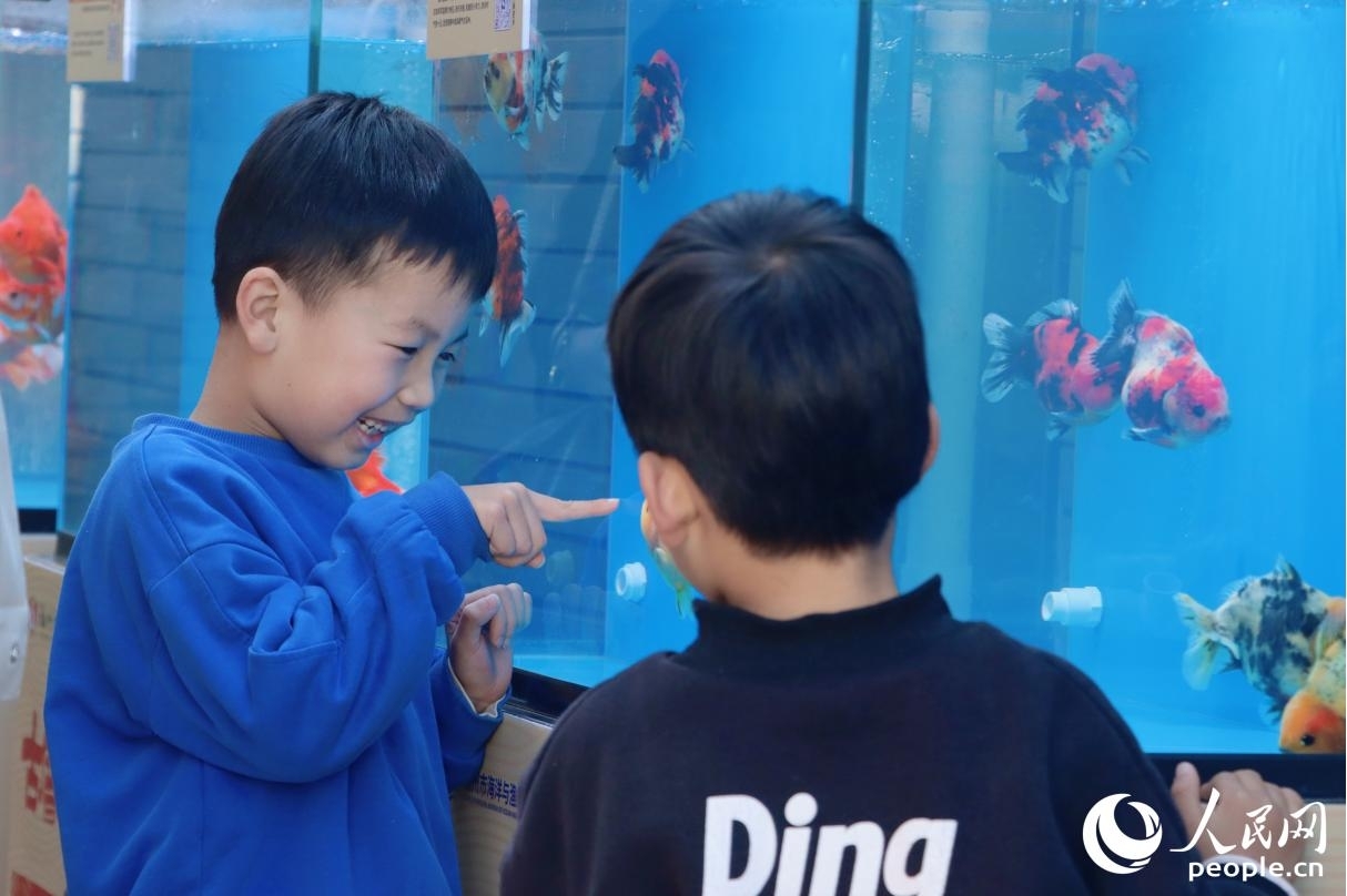 小朋友用手指隔著玻璃與金魚互動。人民網 林銘賢攝