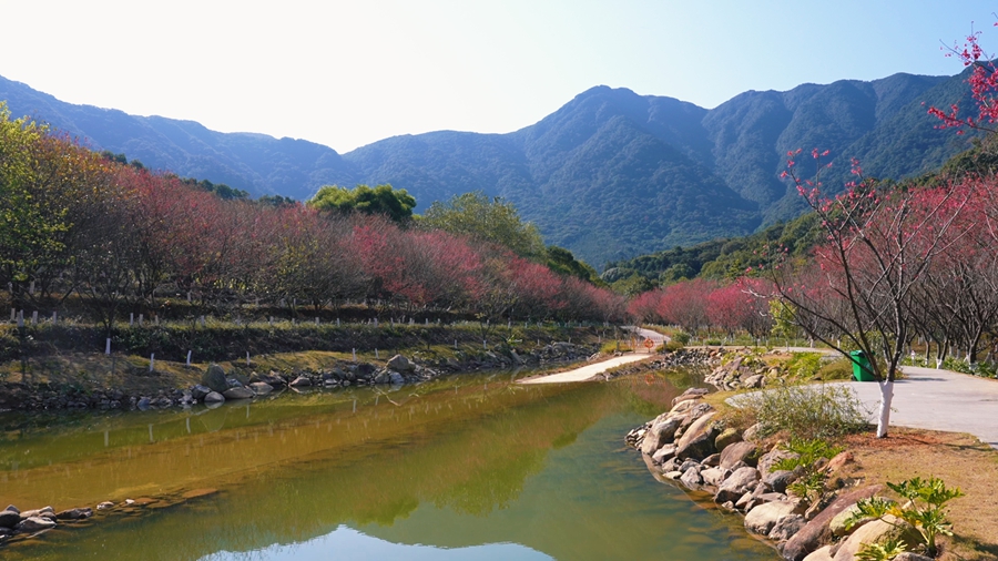 福清靈石山的春日畫卷在山水間徐徐展開