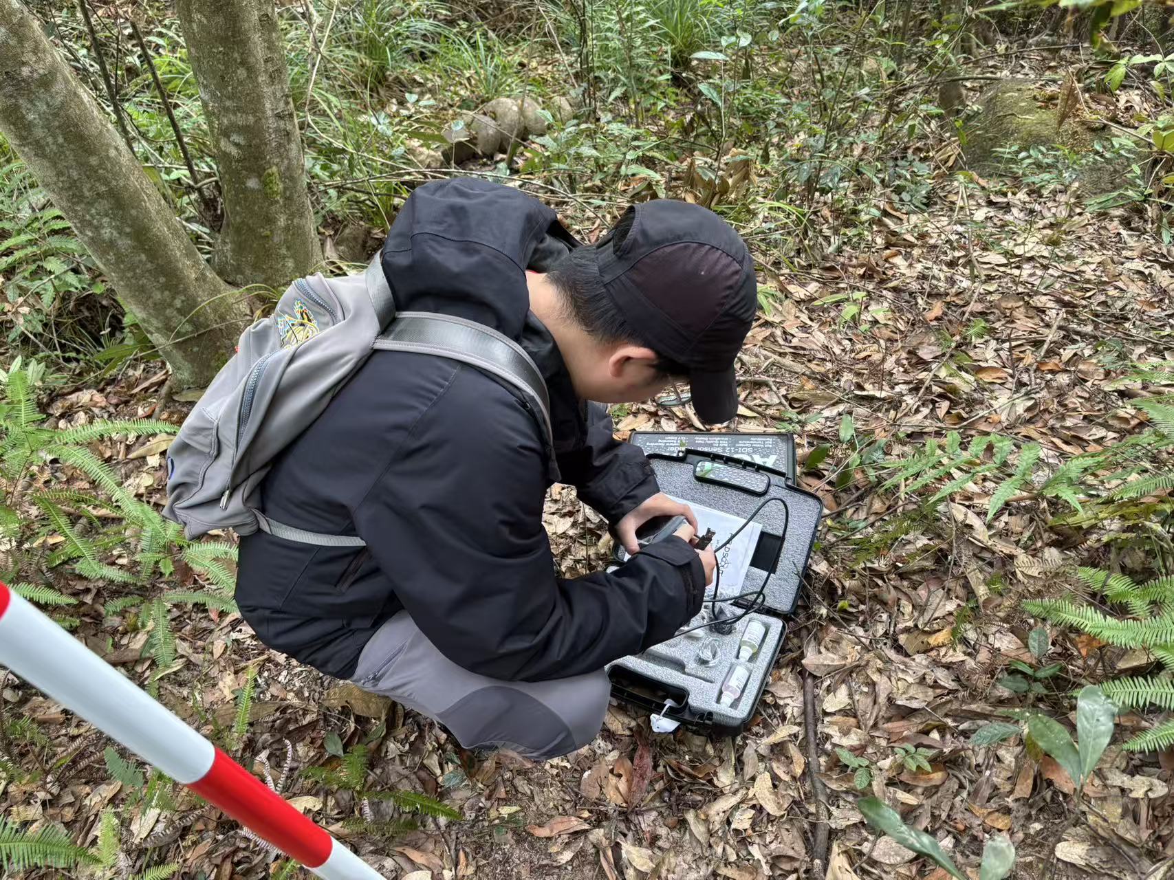 实践队队员准备进行植物样本采集