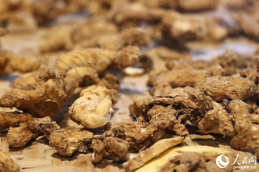 尚未加工的黄精。人民网 林铭贤摄