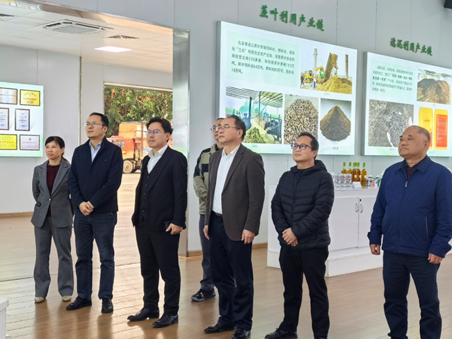 广西来宾东糖凤凰有限公司调研现场