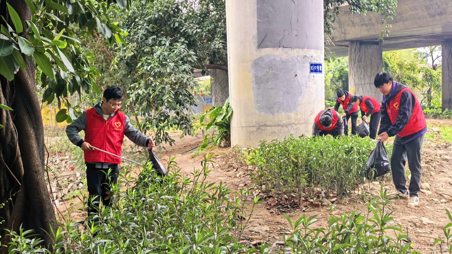 福州市第一总医院鼓山院区项目开展护植活动