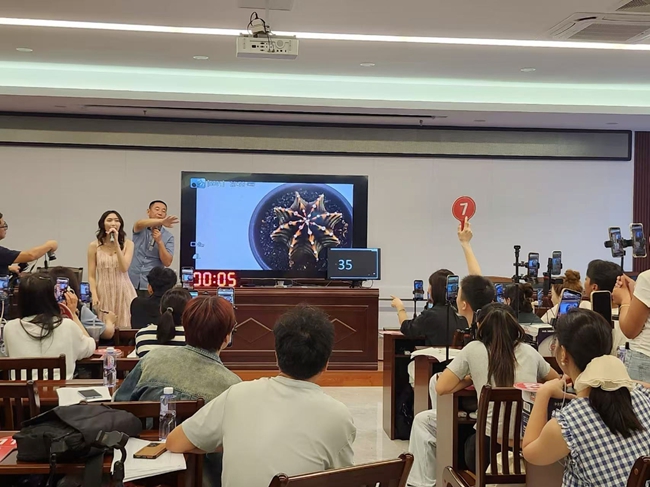 漳州仙人掌与多肉植物拍卖会