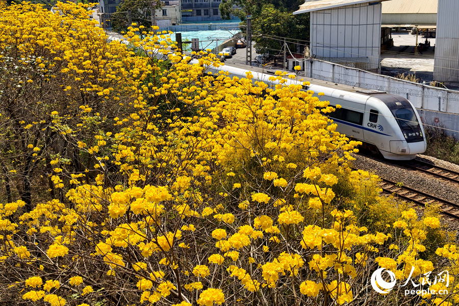 开往春天的列车。人民网记者 陈博摄