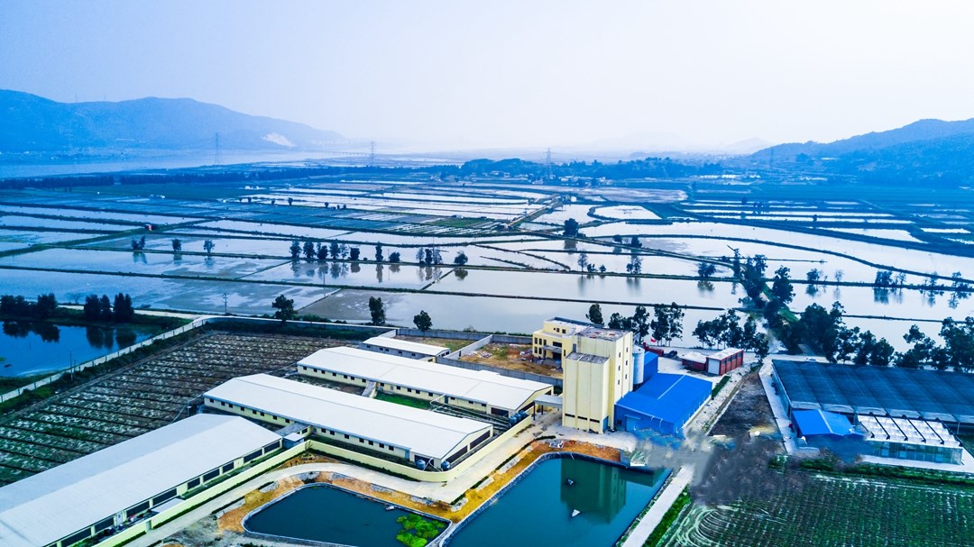 福清东张水库灌区。福州市水利局供图