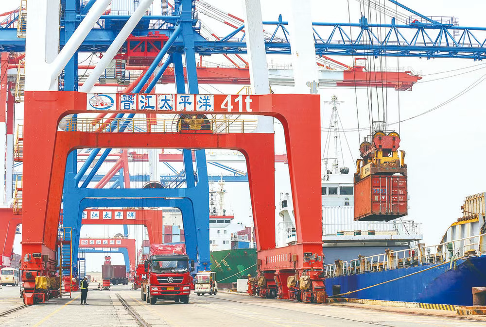 晋江围头港热火朝天的繁忙景象，是晋品加速出海的生动体现。晋江市融媒体中心供图