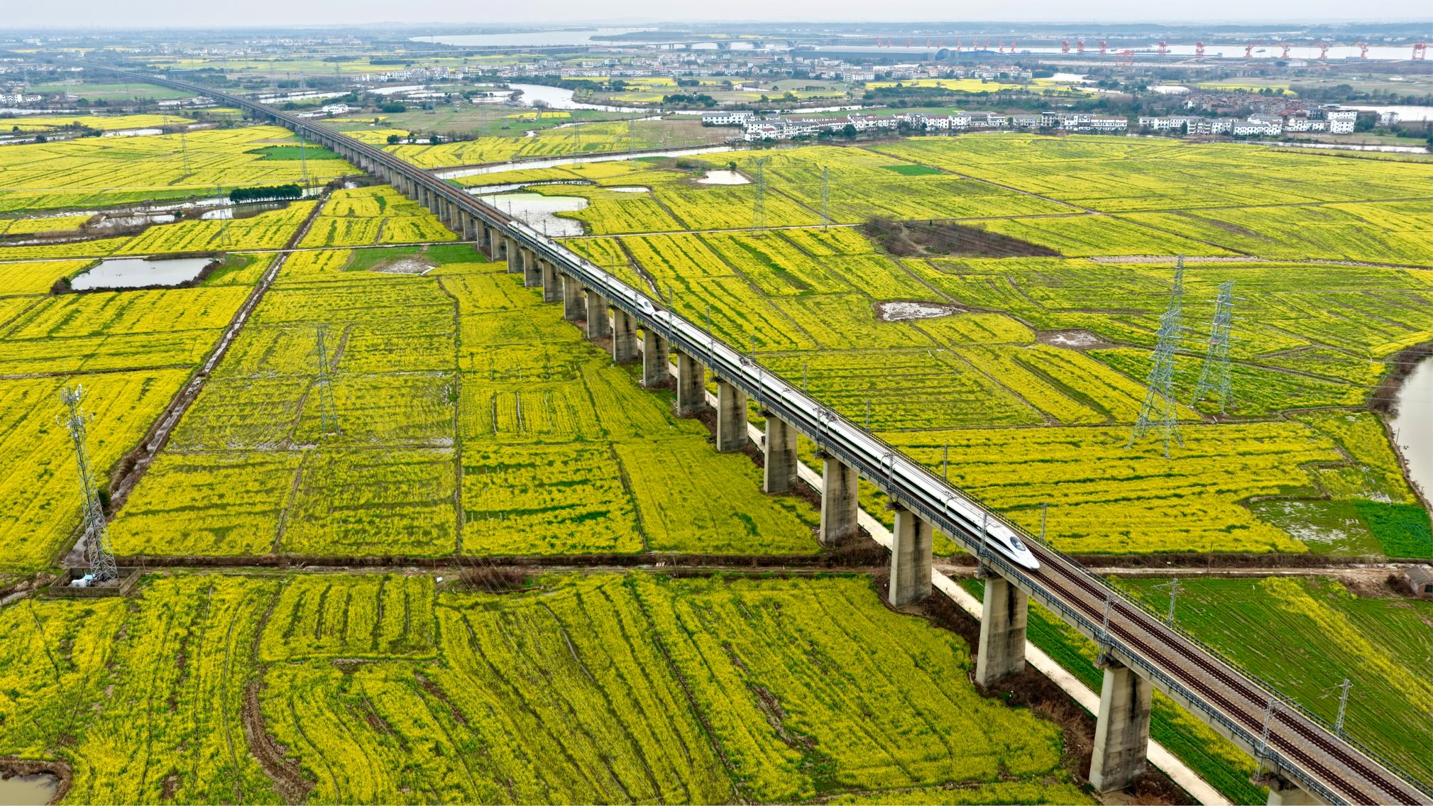 列车从昌福高铁沿线的油菜花田边驶过。王超摄
