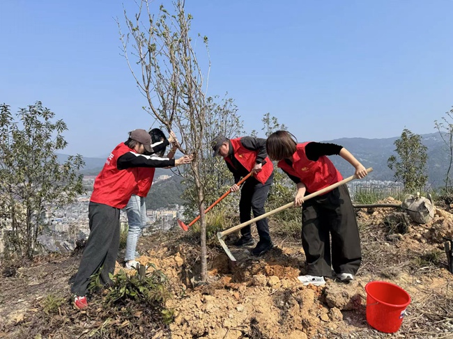 平安产险志愿者在宁德福安开展义务植树活动