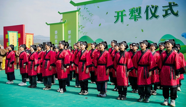 邵武沿山：闽台携手书写农文旅高质量发展新答卷