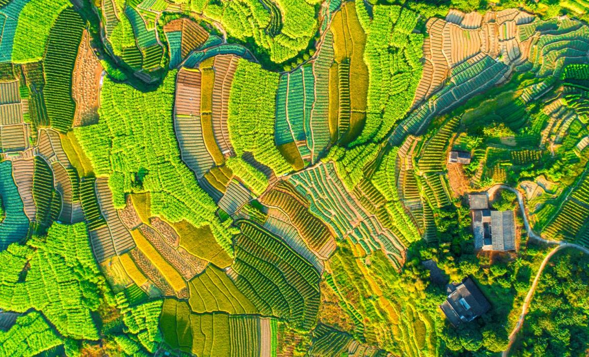 永春县石鼓镇田园改造。永春县自然资源局供图