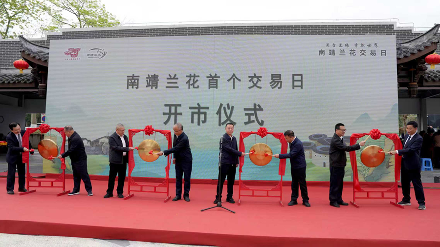 南靖兰花首个交易日开市仪式现场。南靖县融媒体中心供图