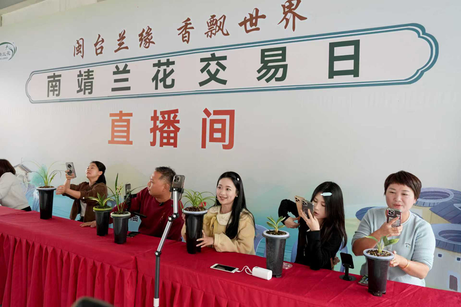 现场还设立标准化直播间,专职主播团队全程在线讲解兰花知识、展示精品。南靖县融媒体中心供图
