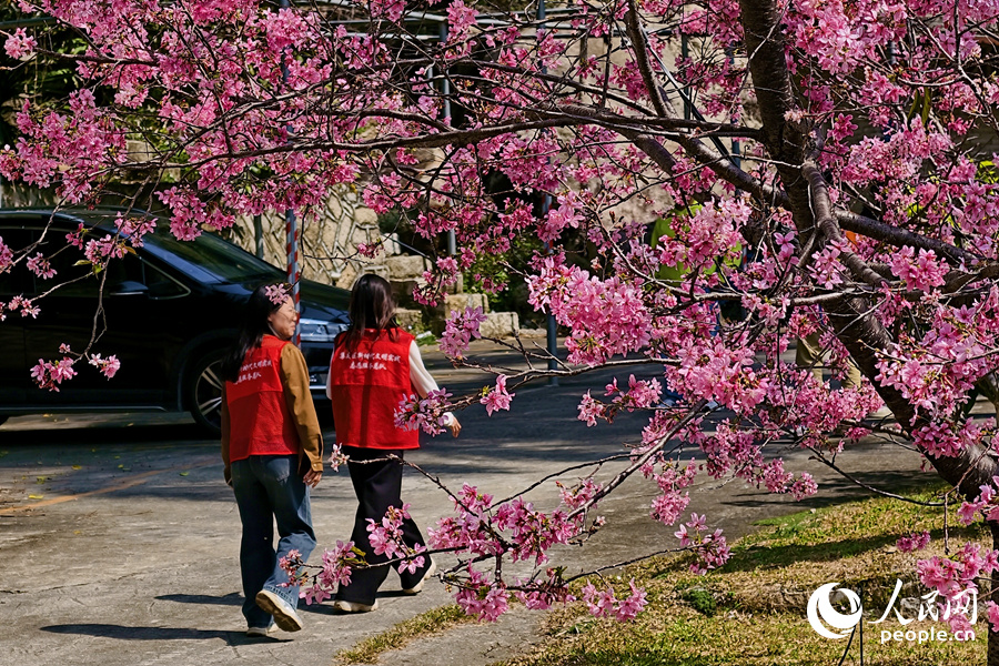 市民游客漫步花海小径,踏青赏春。人民网记者 陈博摄