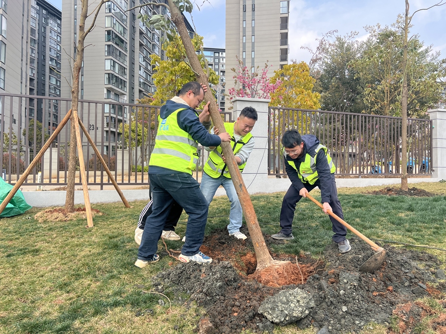 分工协作栽种树木