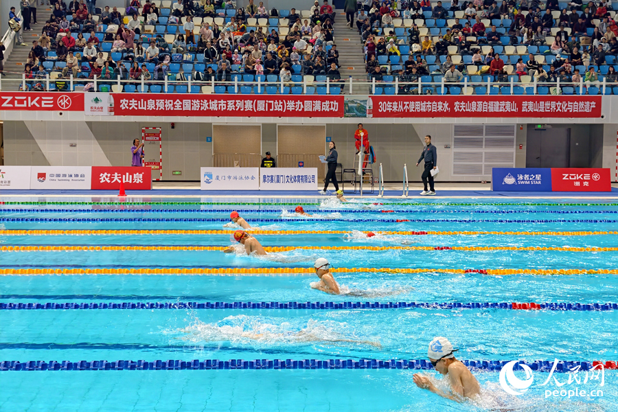 选手们在泳道中你追我赶，奋勇向前。人民网记者 陈博摄