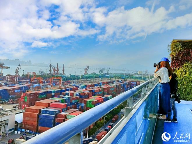 繁忙的厦门自贸片区，持续推动厦门外贸促稳提质。人民网记者 陈博摄