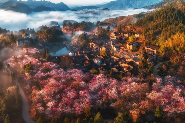 日出下的芳院村。范一辛摄